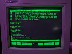 HP 700/98 running TSM