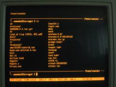 DEC VT510 - old prompt