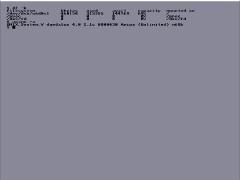 Amiga Unix