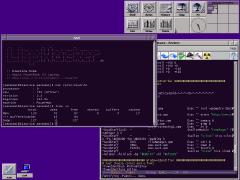 MkLinux with ancient FVWM