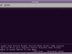Microsoft Word for Unix