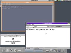Windows 3.11, XVision