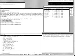 Solaris 9 running Xerox Medley.